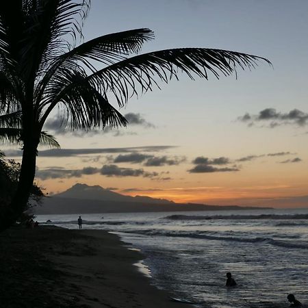 la villa caribéenne de la plage des surfeurs Trinité  Extérieur photo