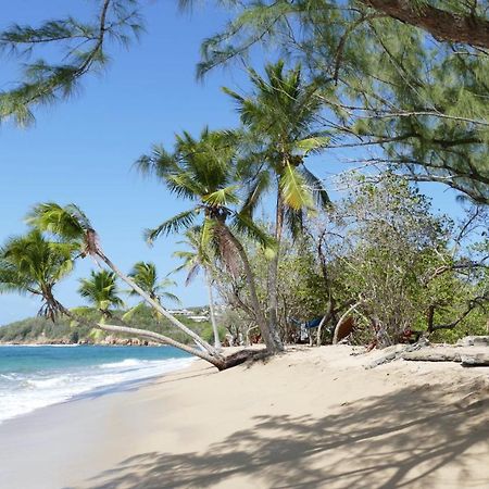 la villa caribéenne de la plage des surfeurs Trinité  Extérieur photo